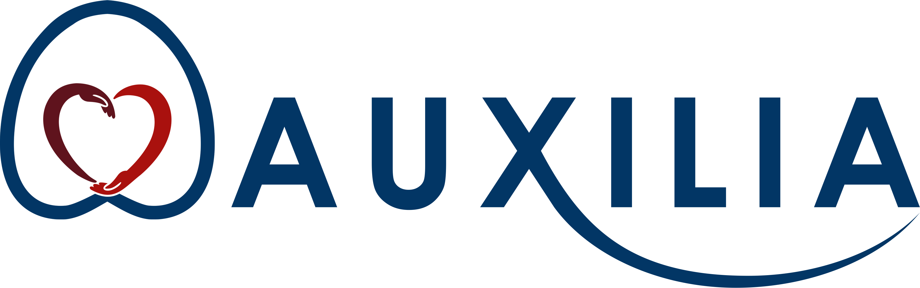 Auxilia